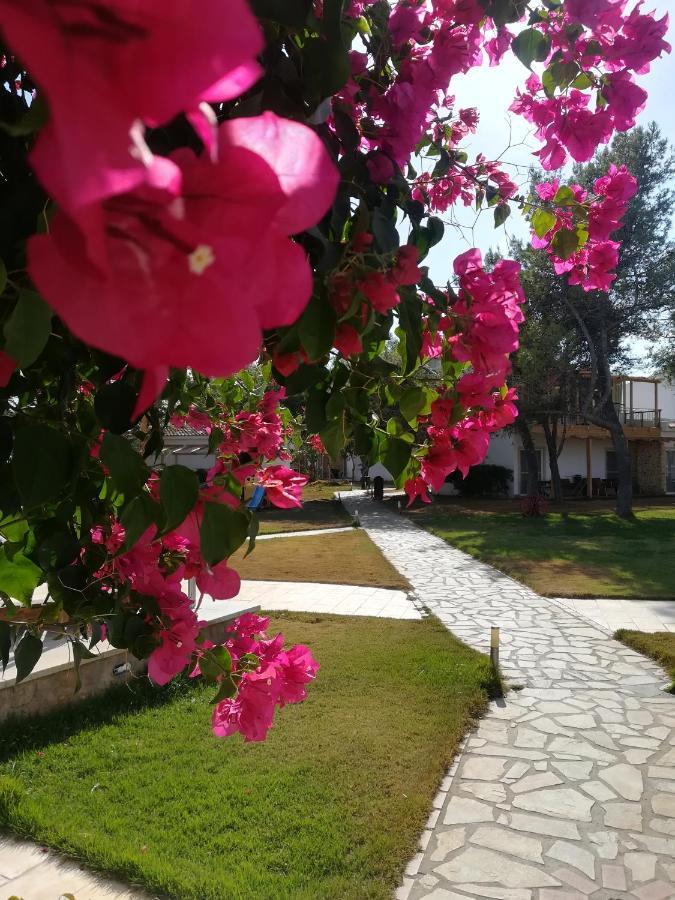 Marzi Beach And Bungalows Hotel Kokkónion Eksteriør billede