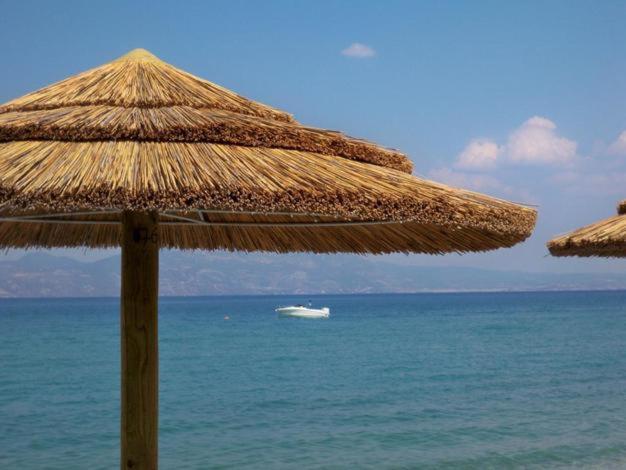 Marzi Beach And Bungalows Hotel Kokkónion Eksteriør billede
